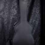 A-132, Visesnut Case Cover